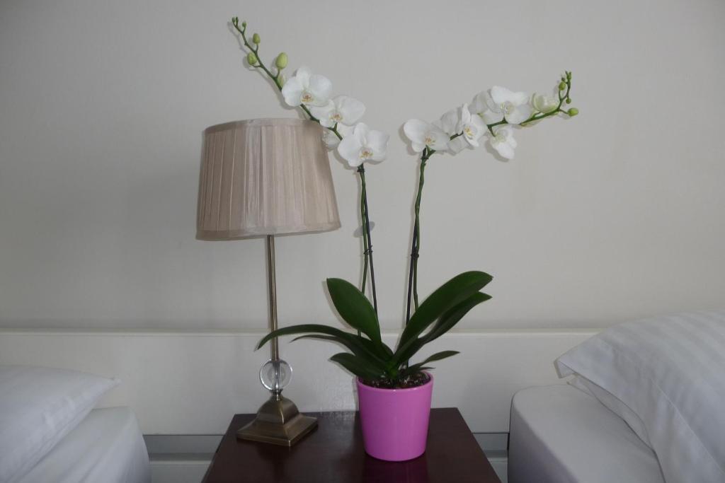 Hotel Killarney House Western Road Cork Pokoj fotografie